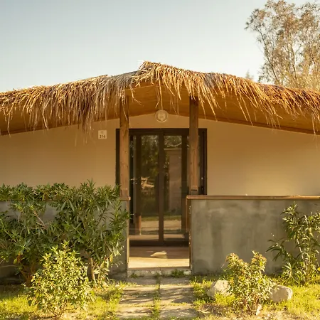 Riva Del Sol Resort *